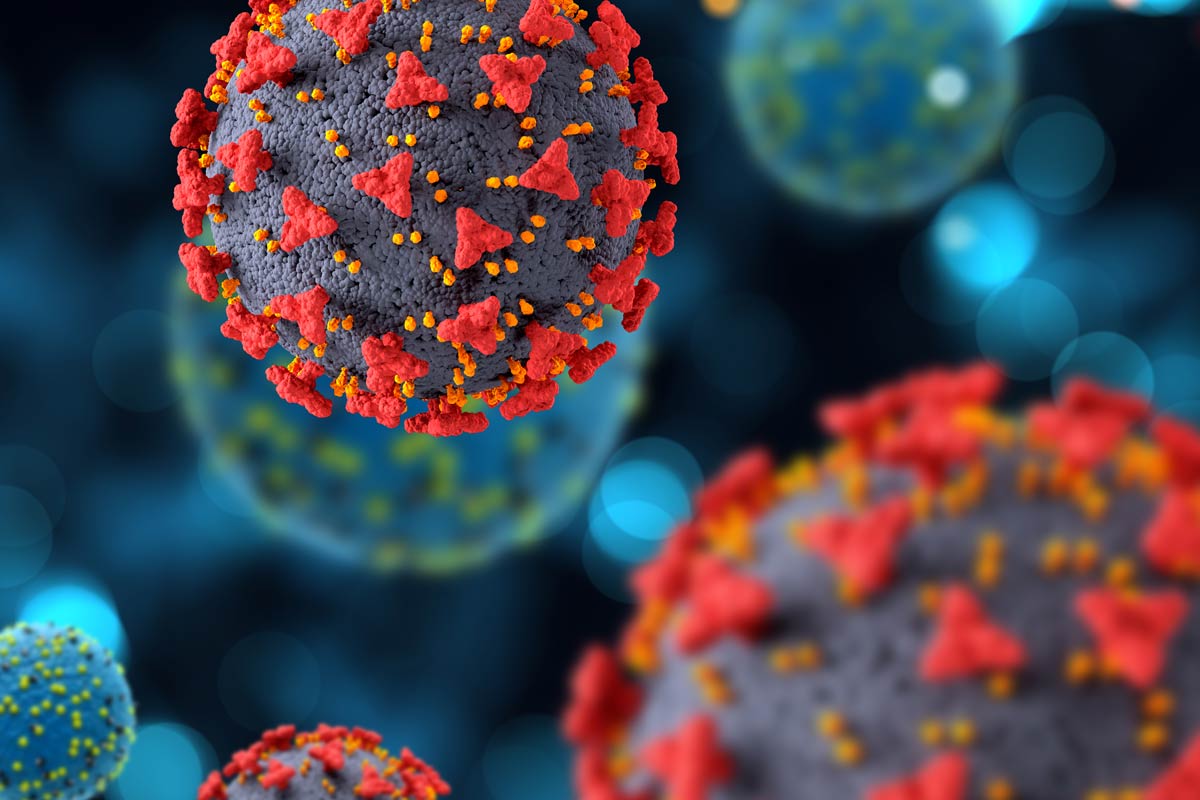 Nimbus coronavirus variant